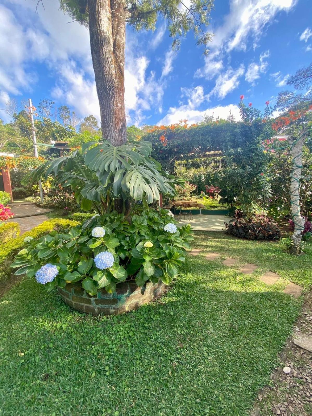 Villa Castillo De Ensueno Concepción de Ataco Dış mekan fotoğraf